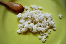 Kefir Mayası Faydaları ve Yapılışı